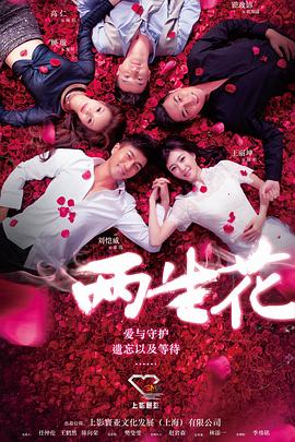 两生花第36集