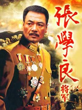 张学良将军第13集