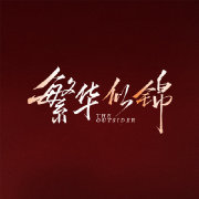 繁华似锦DVD版第31集