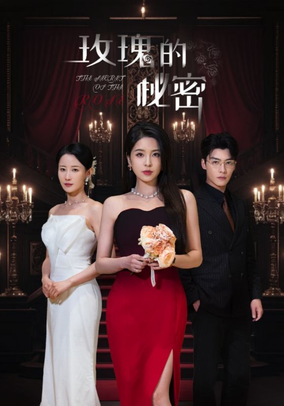 玫瑰的秘密第01-30集