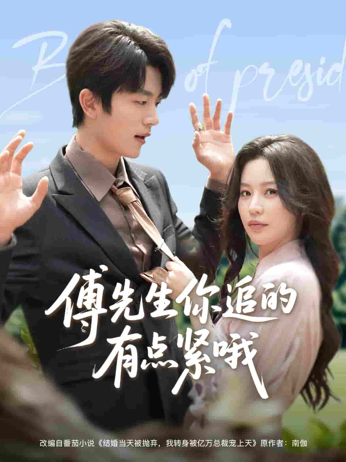 傅先生你追的有点紧哦(全集)