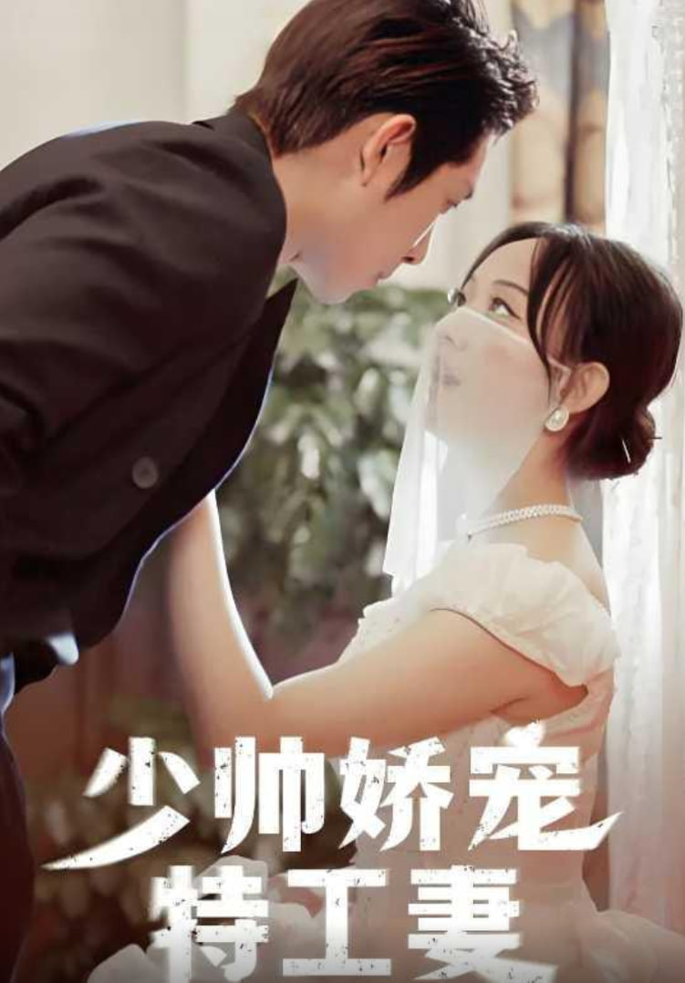 少帅娇宠特工妻(全集)