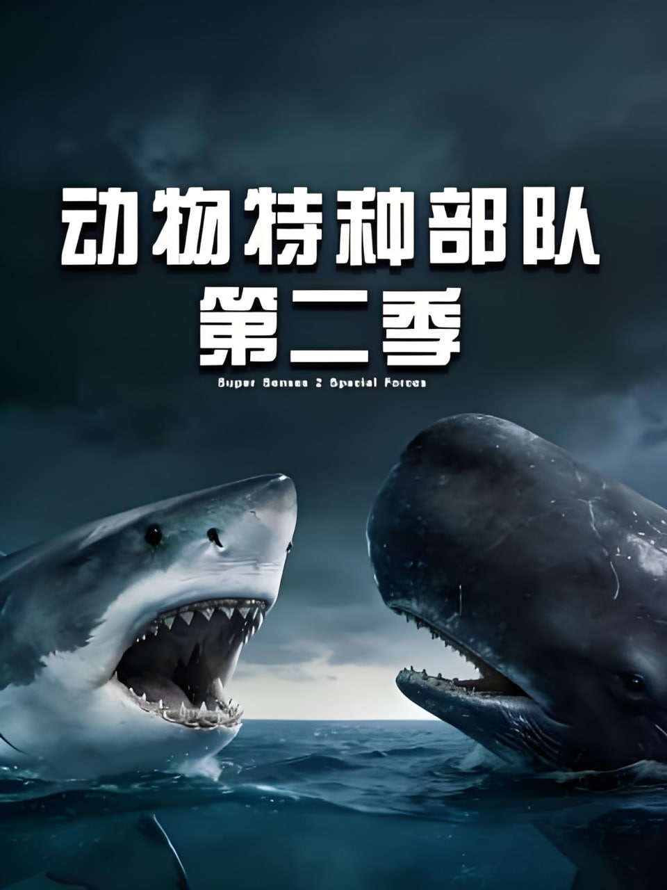 动物特种部队 第二季(全集)
