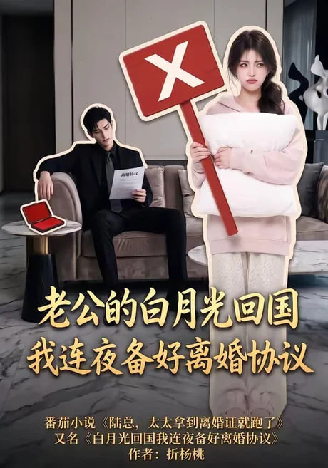 老公的白月光回国我连夜备好离婚协议(全集)