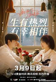 谢谢你温暖我第13集